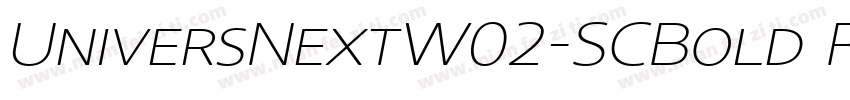 UniversNextW02-SCBold Regular字体转换